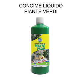 concime liquido piante verdi concime liquido piante verdi